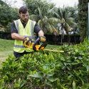 DCMPP568N DeWALT 18V šakų genėjimo žirklės