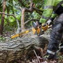 DCMWSP550N DeWALT 54V FLEXVOLT savaeigė žoliapjovė + DCMCS574N 54V grandininis pjūklas 45 cm