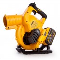 DCMWSP550N DeWALT 54V FLEXVOLT savaeigė žoliapjovė + DCM572N 54V lapų pūstuvas
